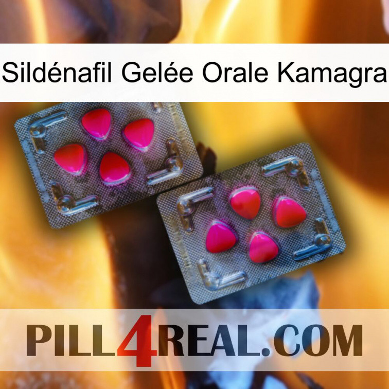 Sildénafil Gelée Orale Kamagra 15